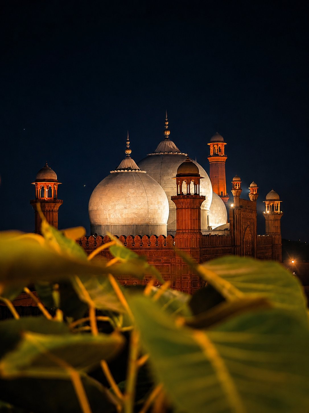 Badshahi Mosque at night with foreground leaves